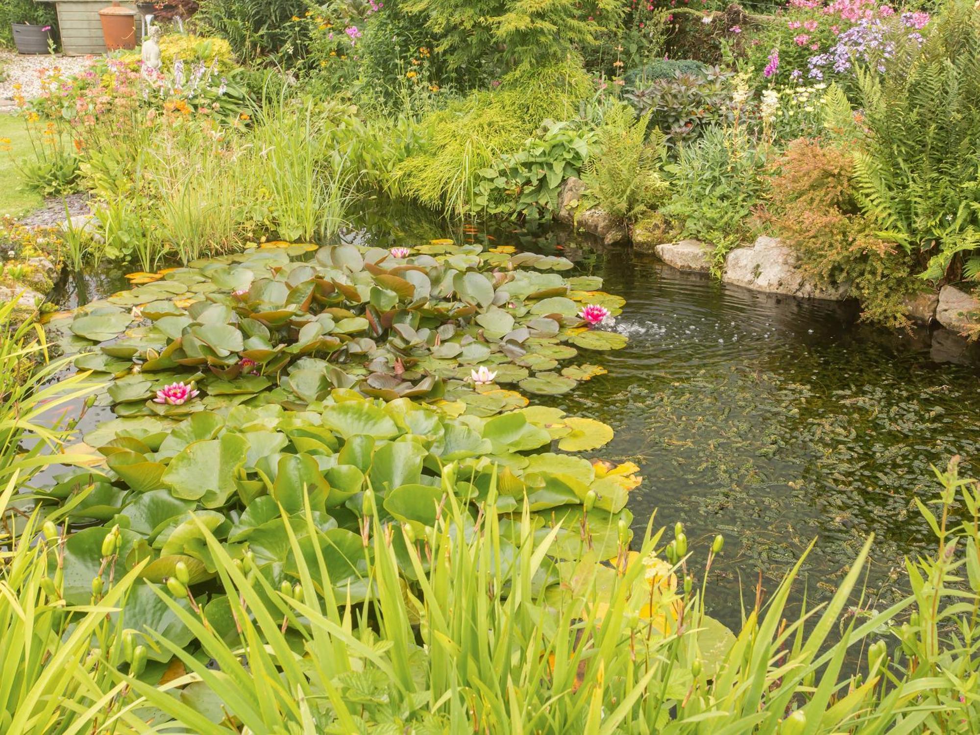 Hippos Rest Vila Mow Cop Exterior foto